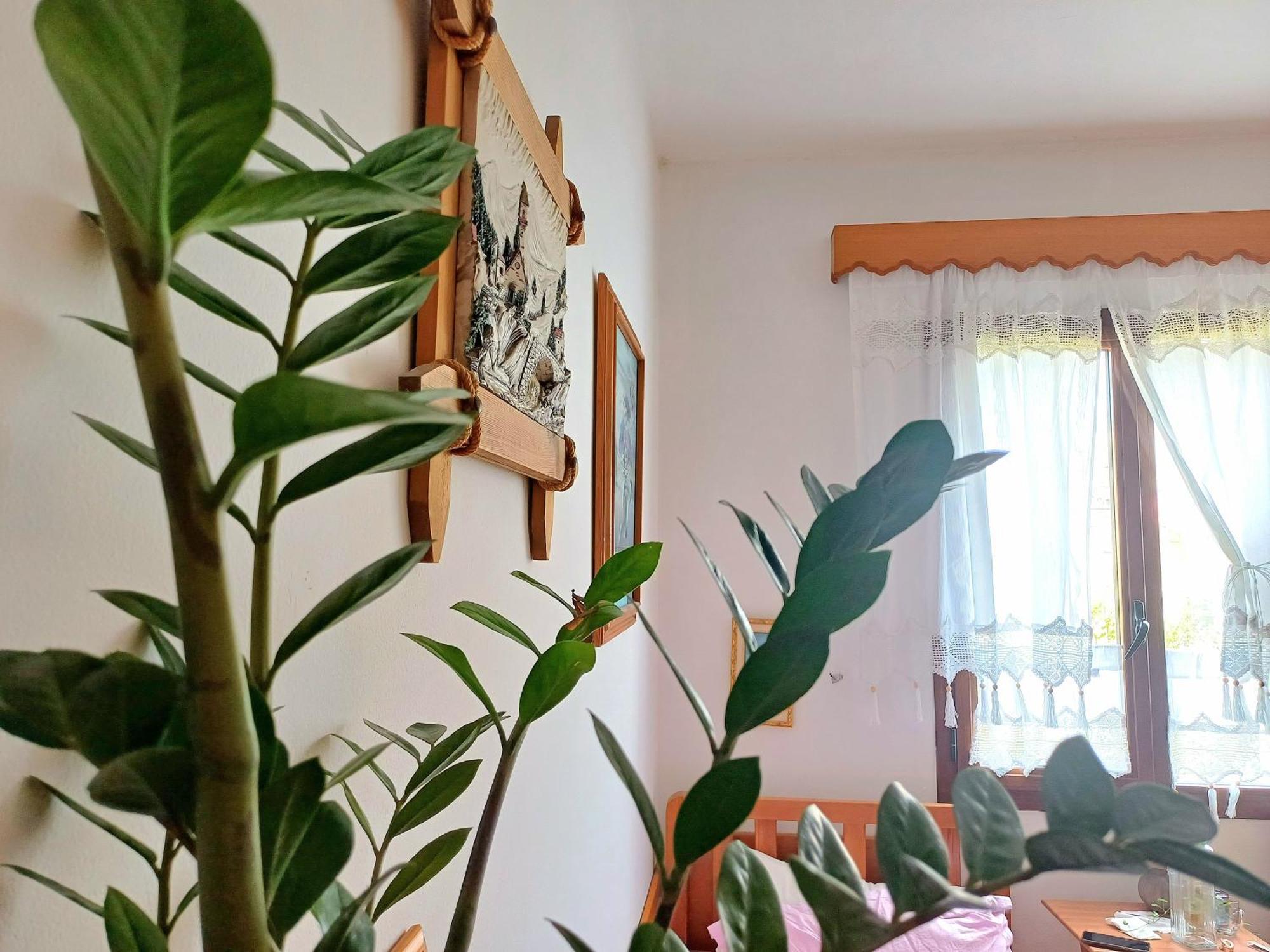 Guest Room Near Historical Center Vlorë Екстериор снимка